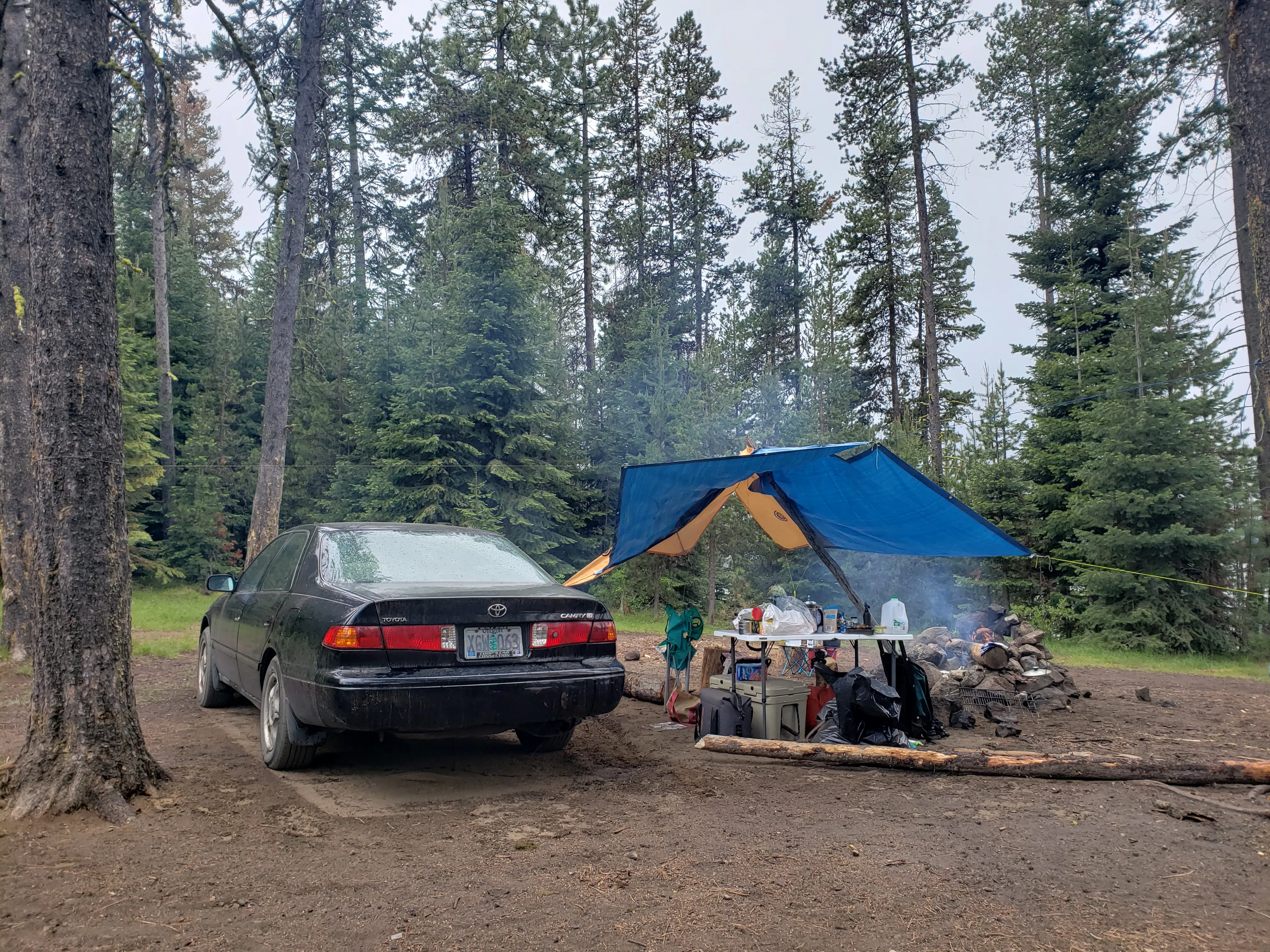 The Asset in the wild