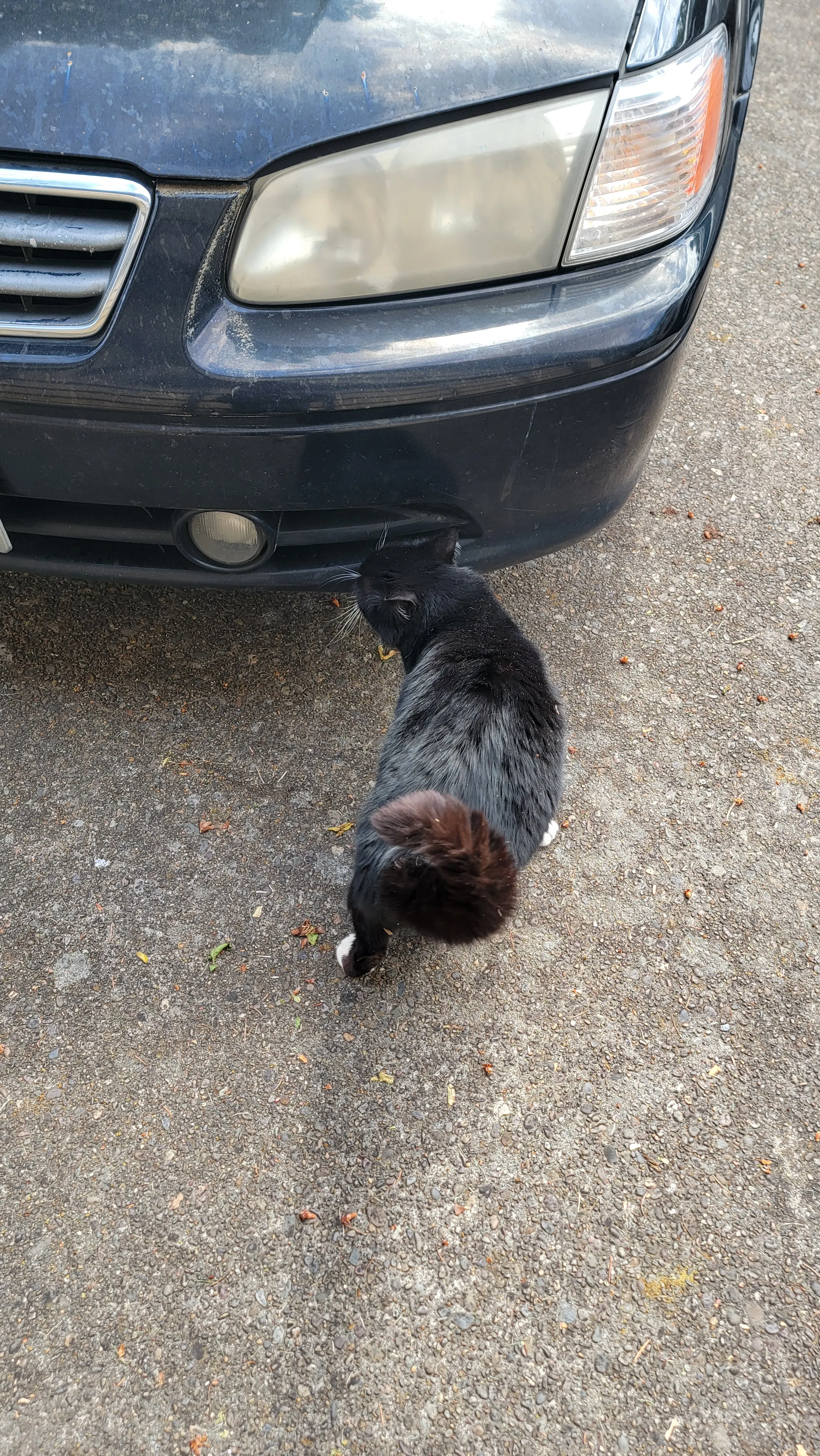 The Supervisor inspecting work