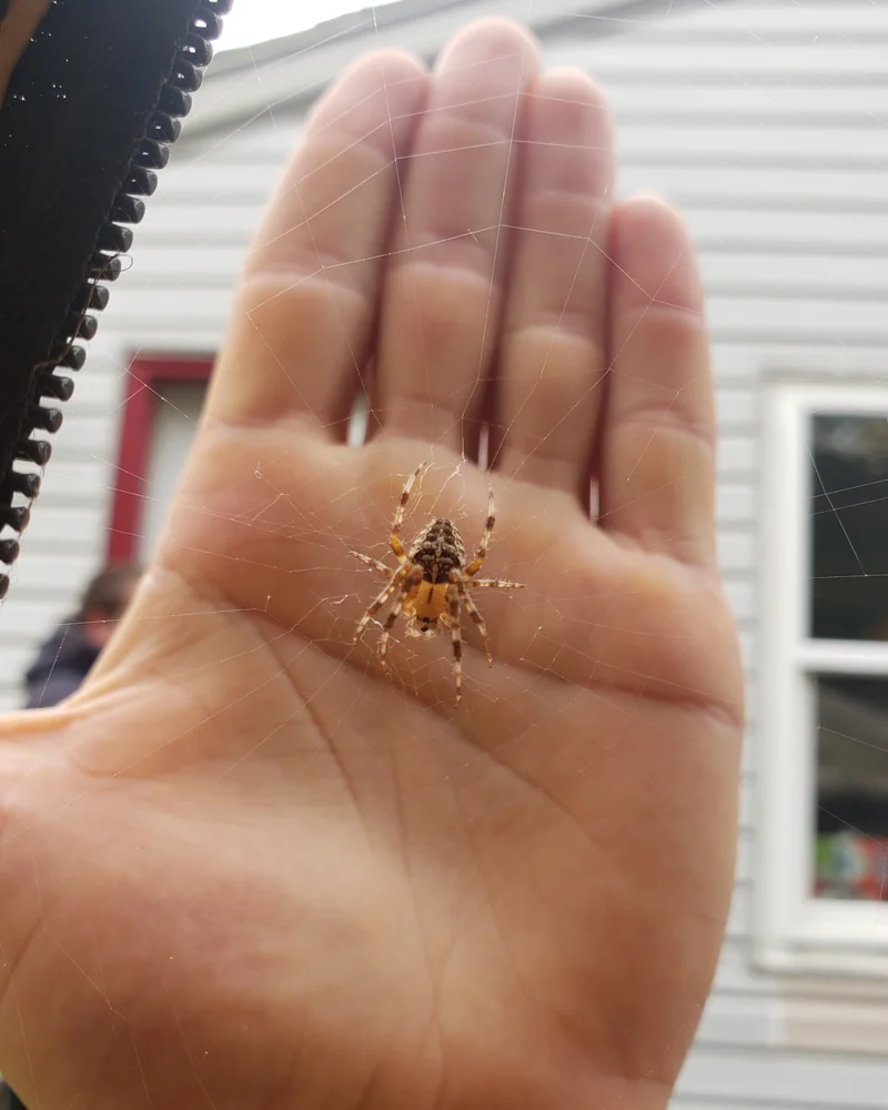 Hero image for Containers of Chaos — Part 1