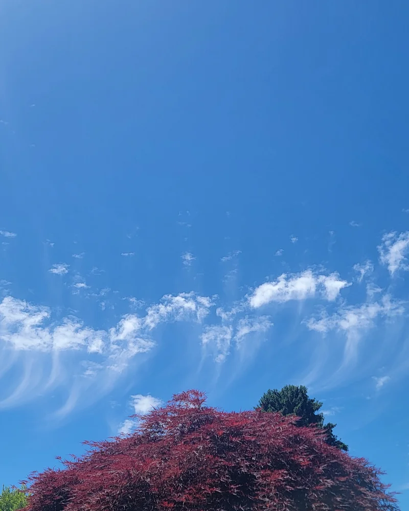 Hero image for Billowing Thoughts: How Clouds, Breakfast, and Human Bonds Connect