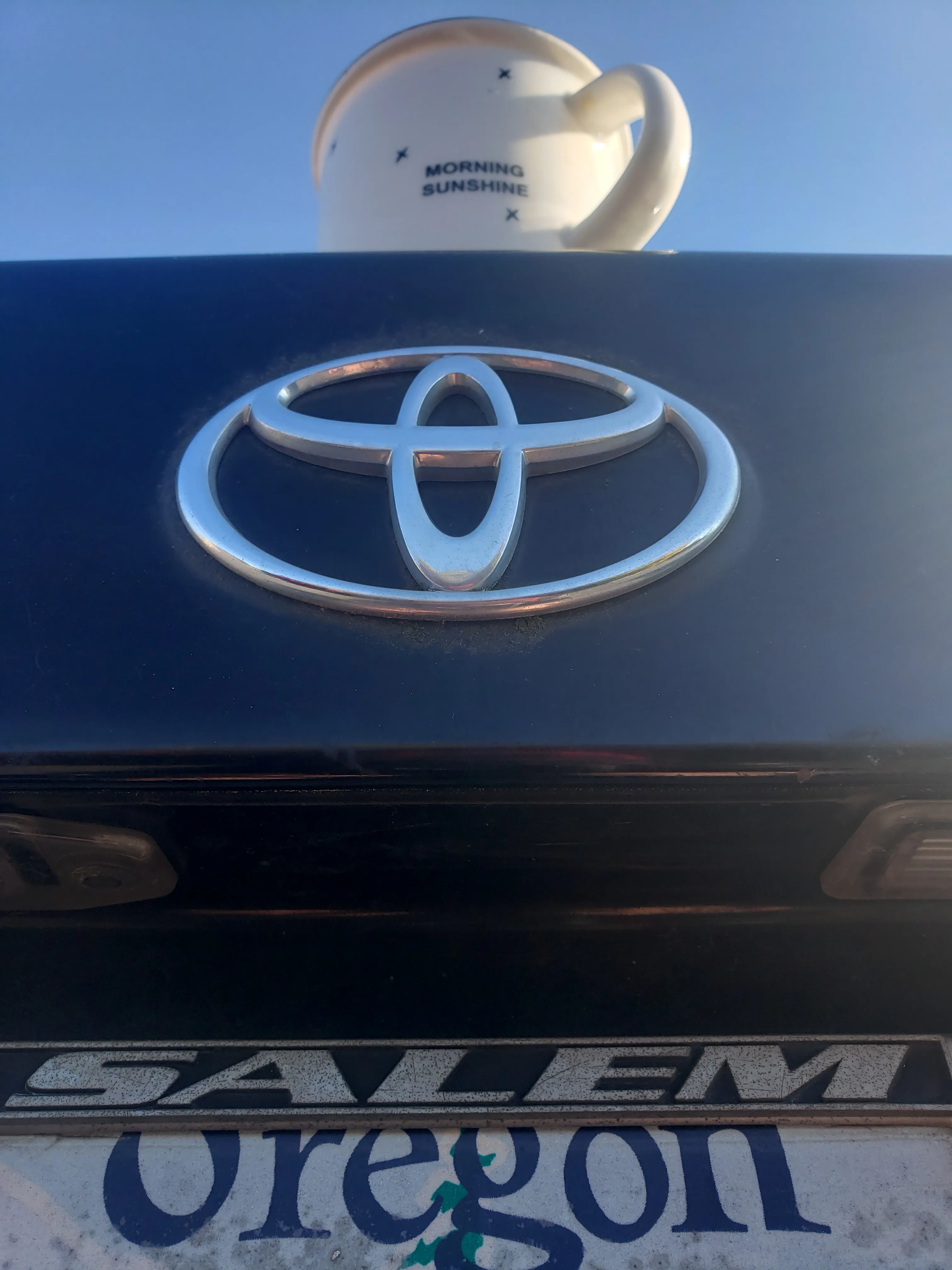 The Result: Longevity