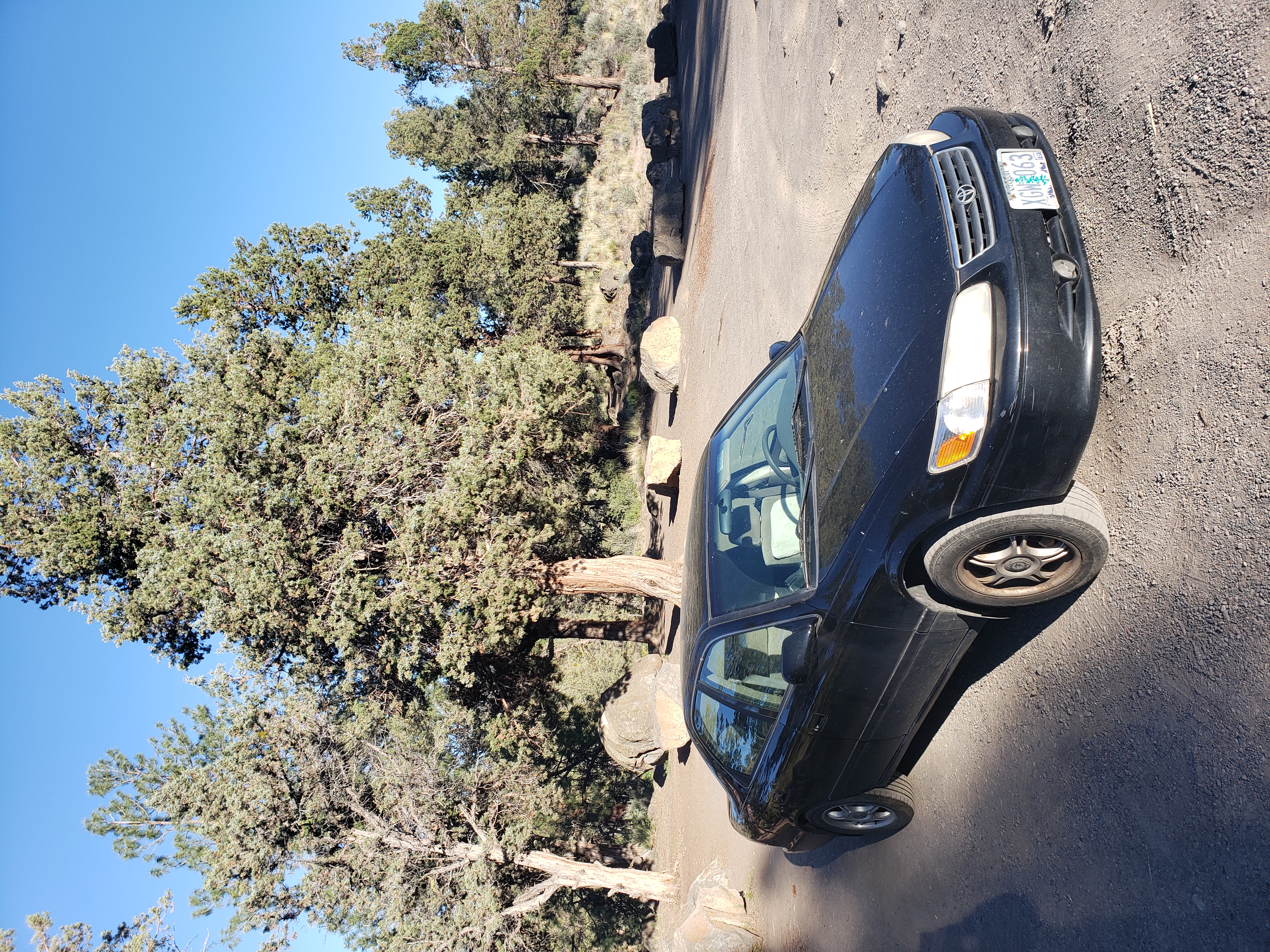 The Asset: 2000 Toyota Camry