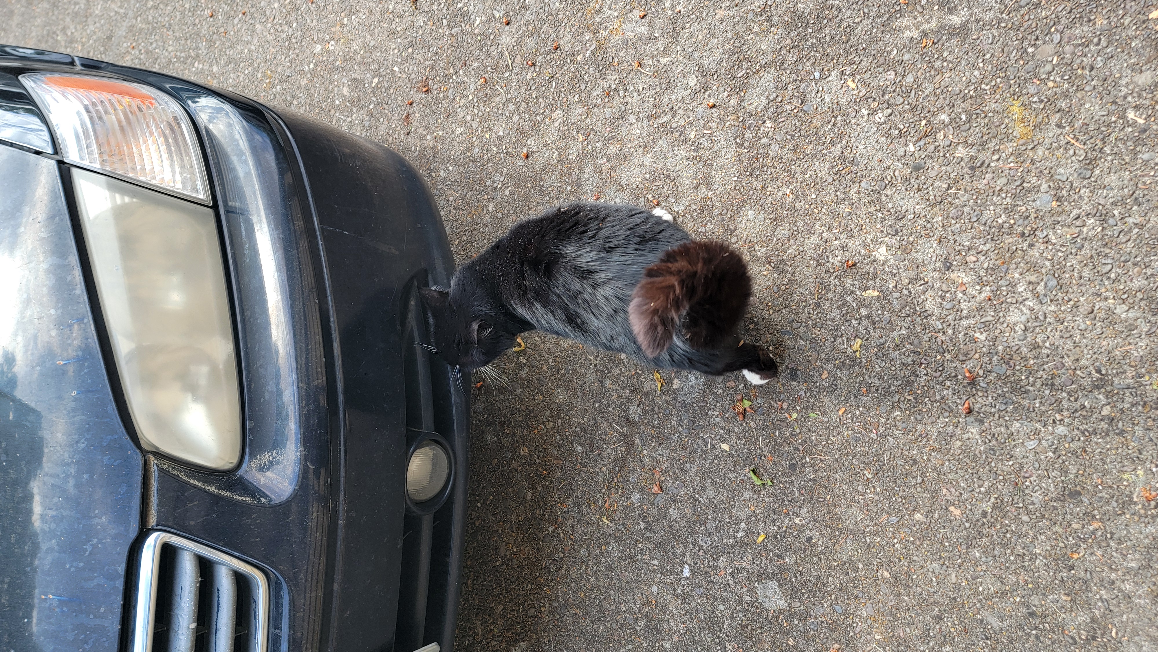 The Supervisor inspecting work